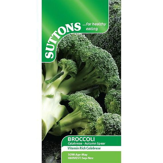 SUTTONS BROCCOLI 'AUTUMN SPEAR' - SEEDS