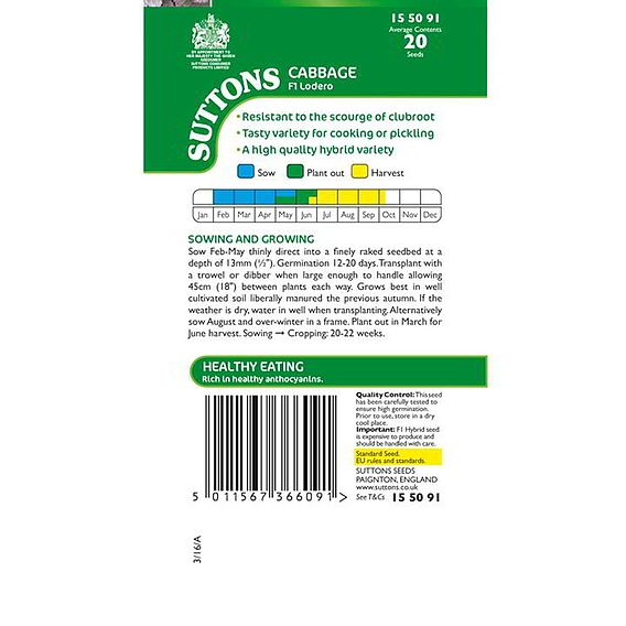 SUTTONS CABBAGE F1 'LODERO' - SEEDS