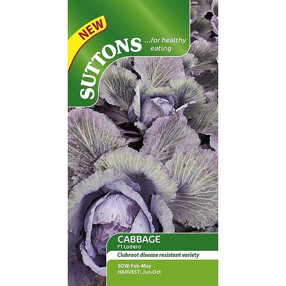 SUTTONS CABBAGE F1 'LODERO' - SEEDS
