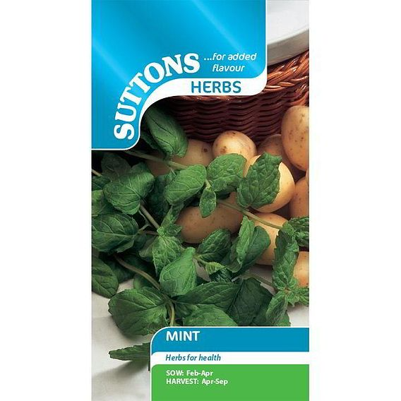 SUTTONS MINT - HERB SEEDS
