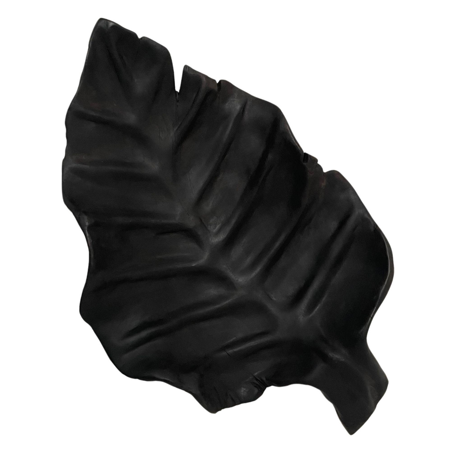 CHARCOAL BROAD TEAK LEAF