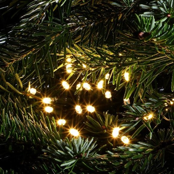 NOMA WARM WHITE MULTIFUNCTION STRING LIGHTS