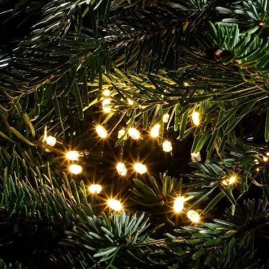 NOMA WARM WHITE MULTIFUNCTION STRING LIGHTS