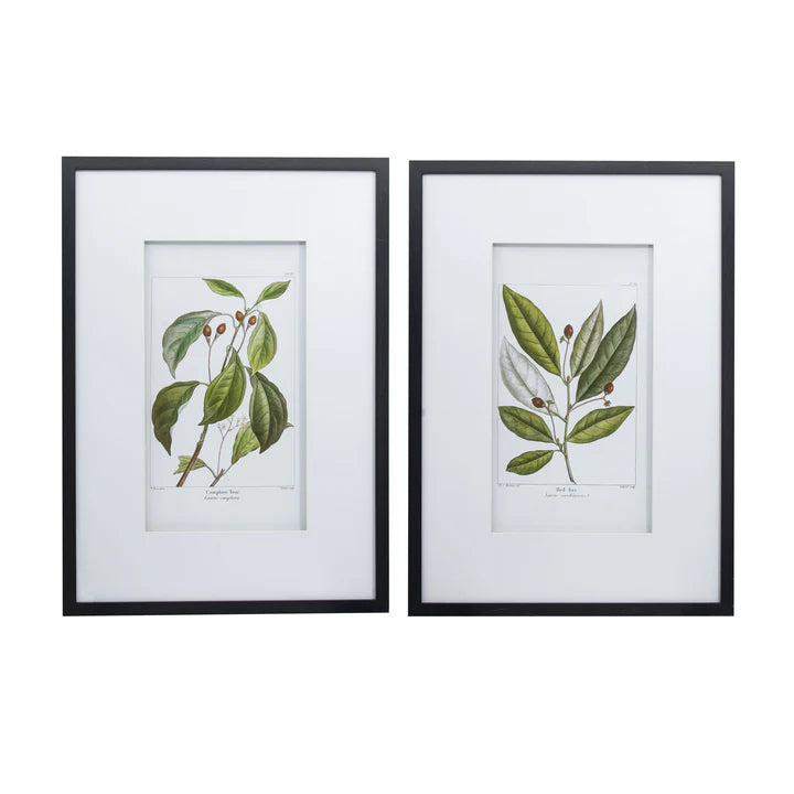 BOTANICAL WALL ART
