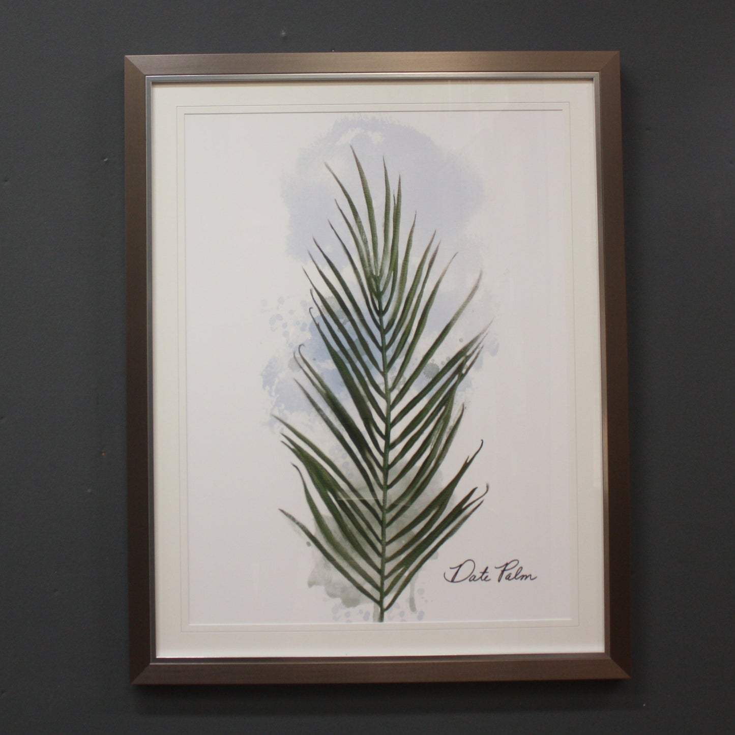 CHERRYTREE DATE PALM