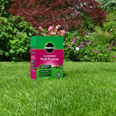 MIRACLE-GRO EVERGREEN MULTI-PURPOSE GRASS SEED 210G