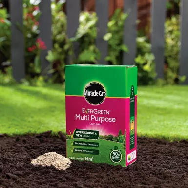 MIRACLE-GRO EVERGREEN MULTI-PURPOSE GRASS SEED 210G