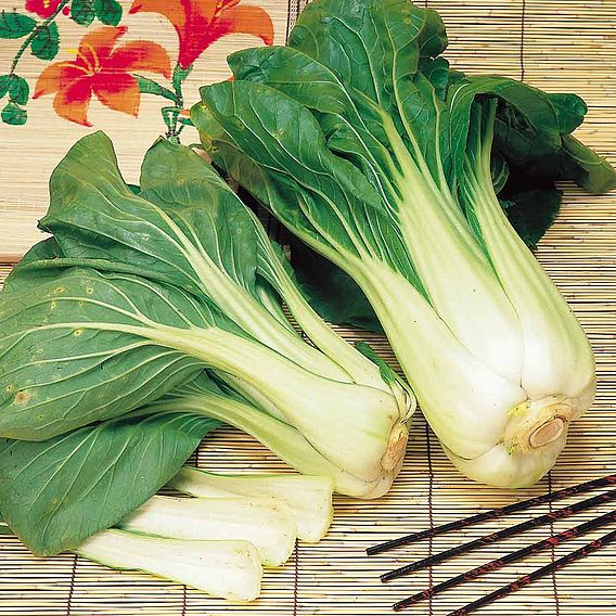SUTTONS PAK CHOI F1 'HANAKAN' - SEEDS