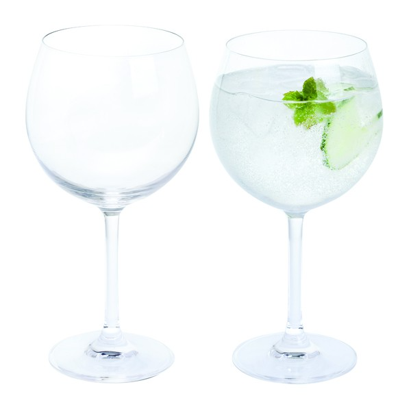 DARTINGTON WINE & BAR COPA GIN SET
