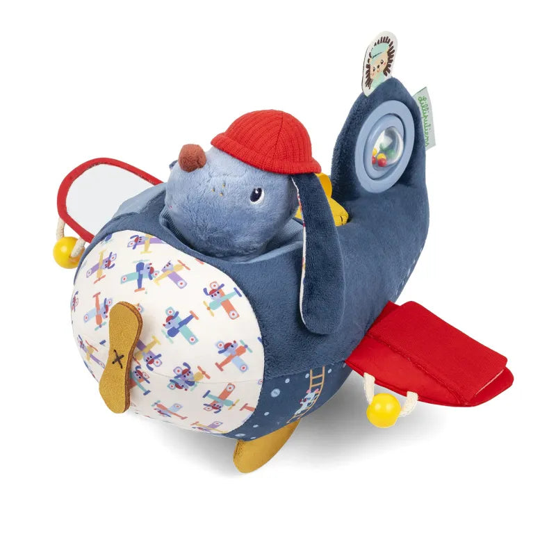 Jules the Dog Airplane