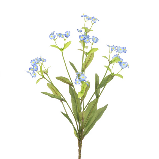 FORGET-ME-NOT SPRAY 64CM