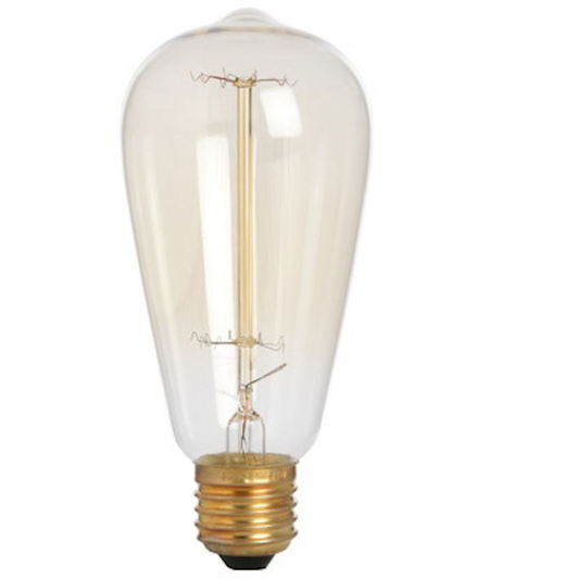 EDISON SCREW IN BULB