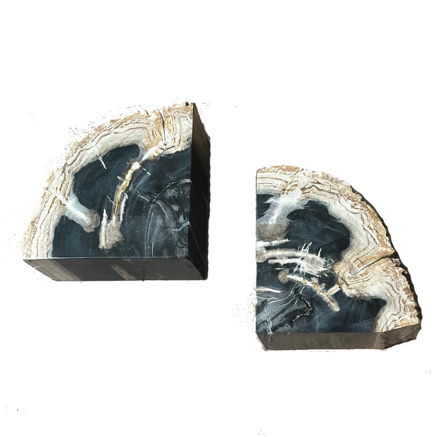 PETRIFIED WOOD BOOKENDS