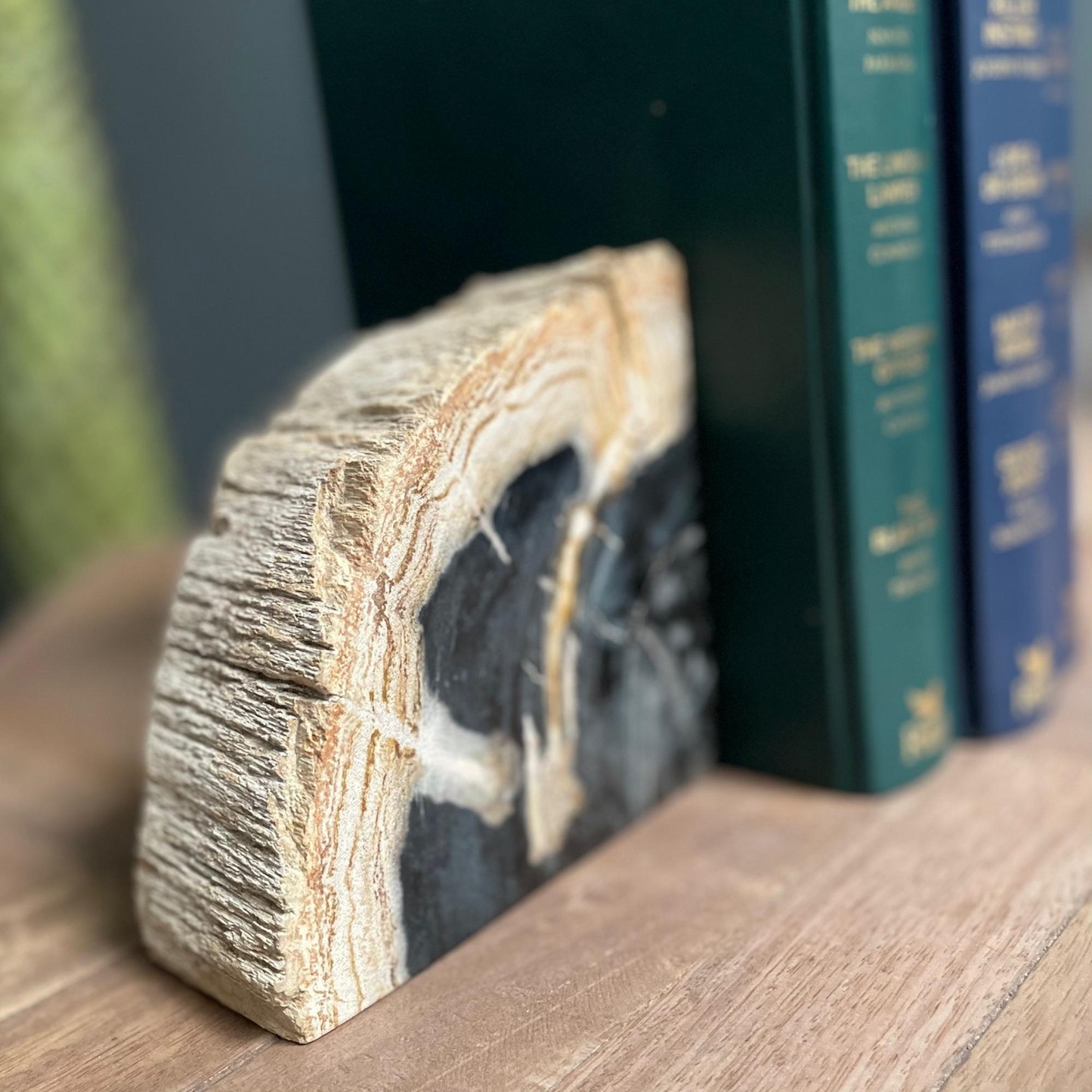 PETRIFIED WOOD BOOKENDS