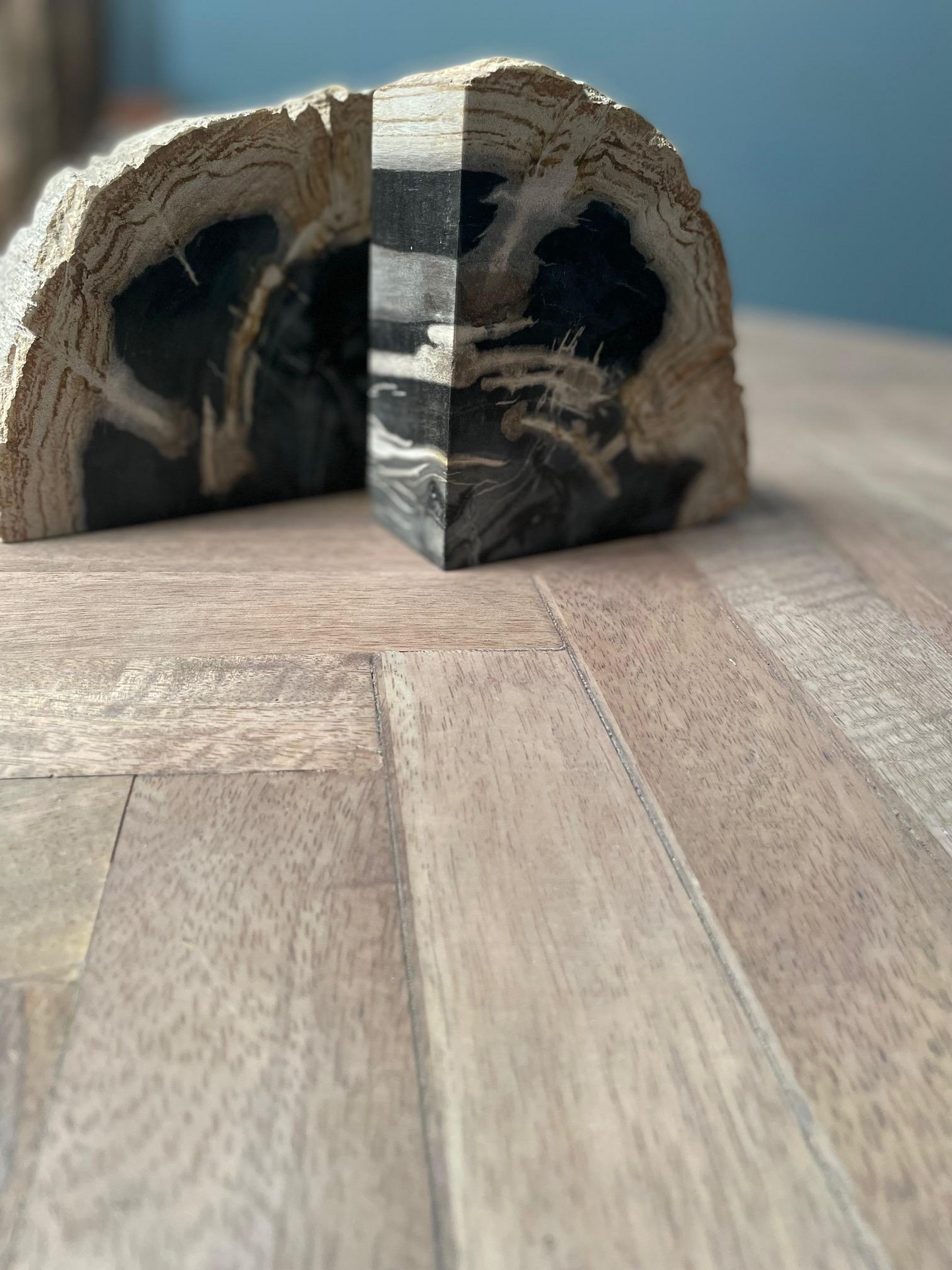 PETRIFIED WOOD BOOKENDS