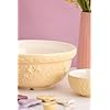 IN THE MEADOW DAFFODIL MIXING BOWL