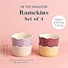 IN THE MEADOW SET OF 4 RAMEKINS