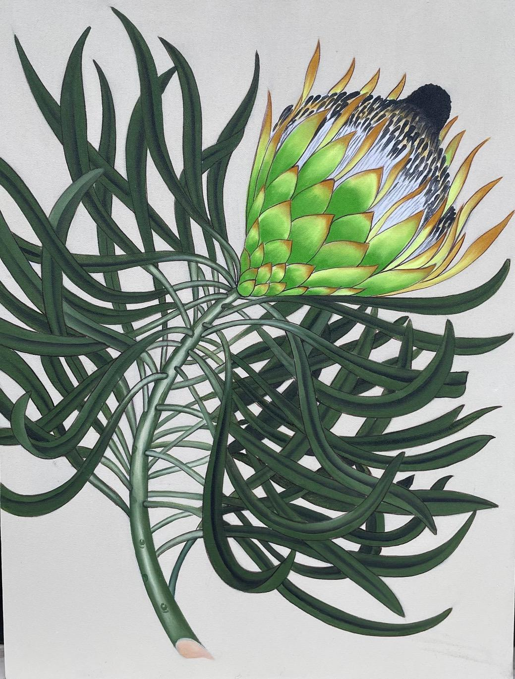 PROTEA PRINT