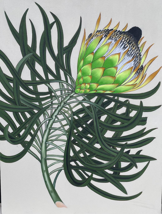 PROTEA PRINT