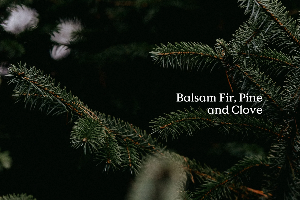 FIELD DAY CLASSIC CANDLE FIR