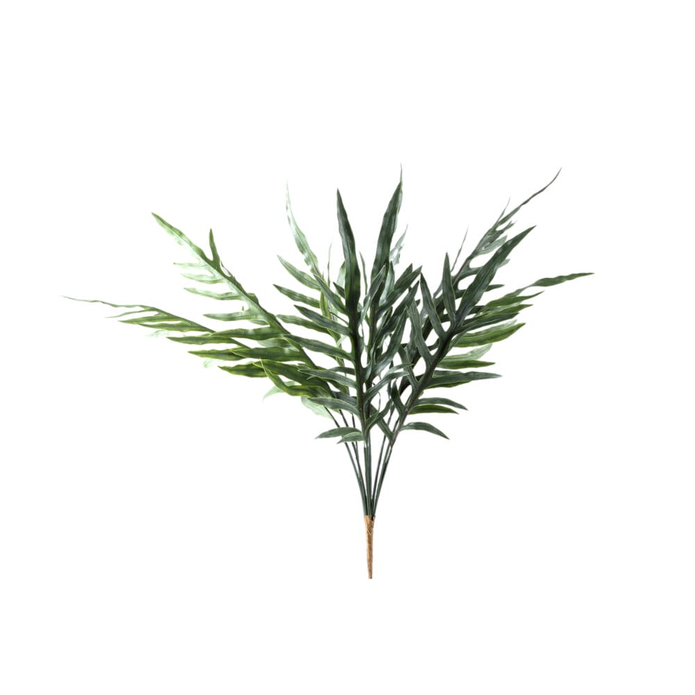 PTMD FERN PLANT DARK GREEN MOUNTAIN FERN SPRAY