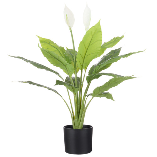 PEACE LILY IN POT 78CM