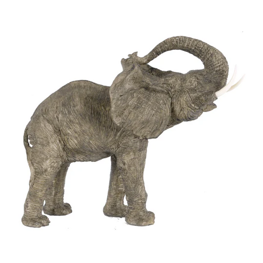 WATERING TIME ELEPHANT