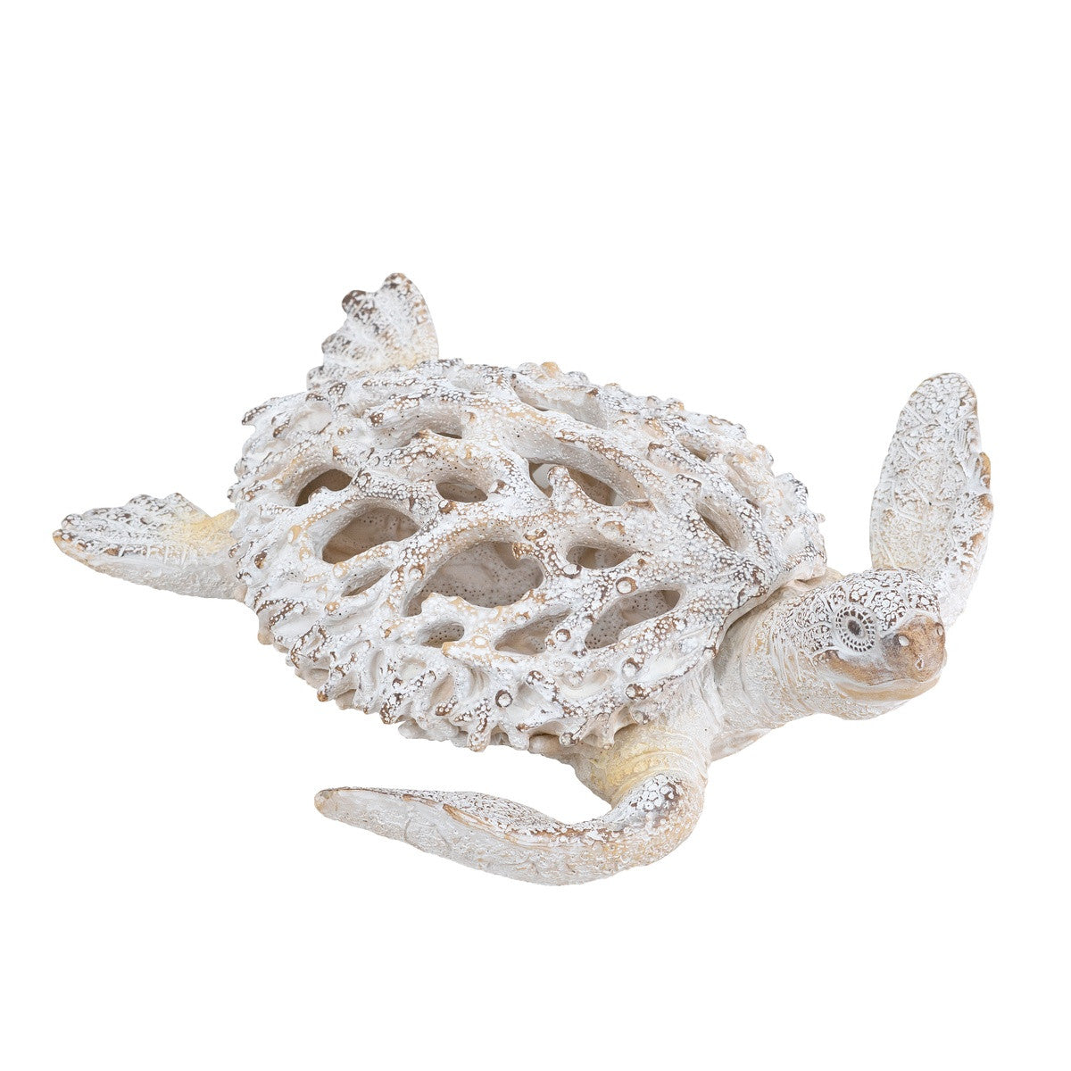 SEA TURTLE