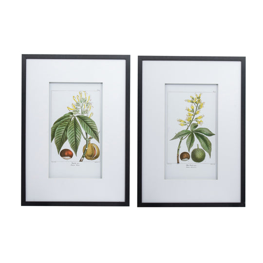 BOTANICAL WALL ART