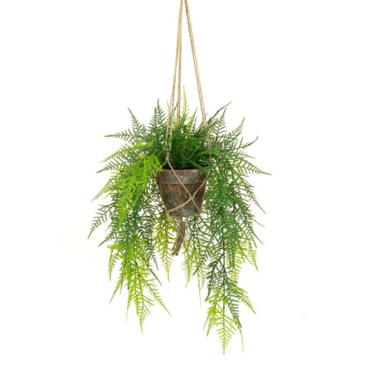 HANGING FERN IN POT 56CM