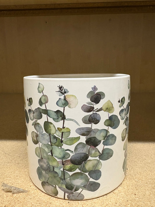 EUCALYPTUR PLANT POT-LARGE