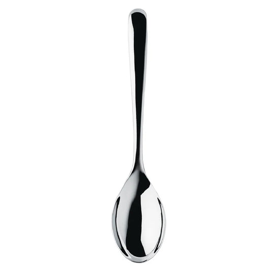 SIGNATURE (BR) V SERVING SPOON SMALL
