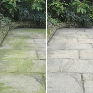 PATIO MAGIC CONCENTRATE 5L