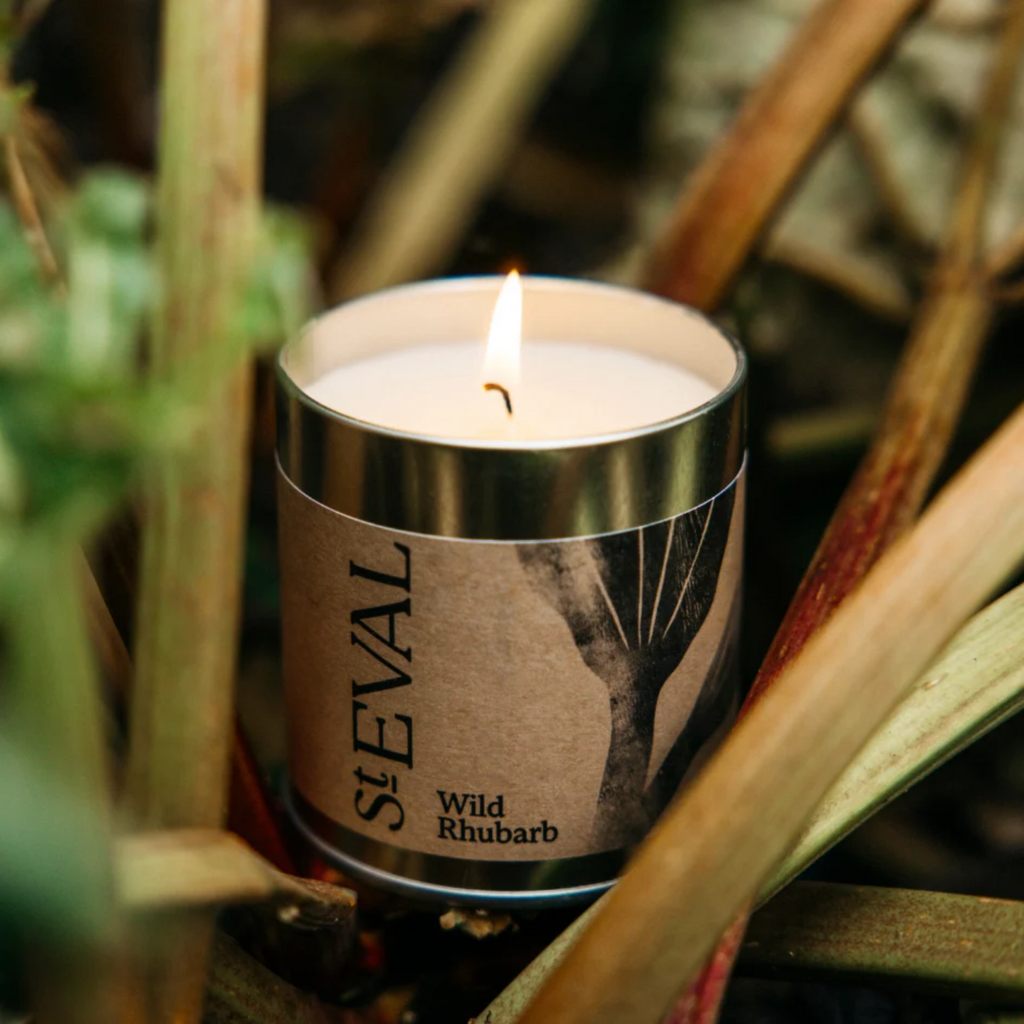 ST EVAL WILD RHUBARB SCENTED TIN CANDLE