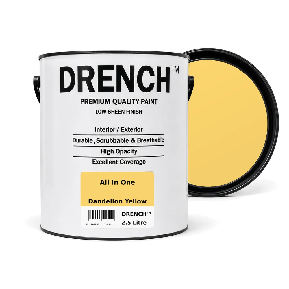 DRENCH PAINTS ALL-IN-ONE-SURFACE PAINT