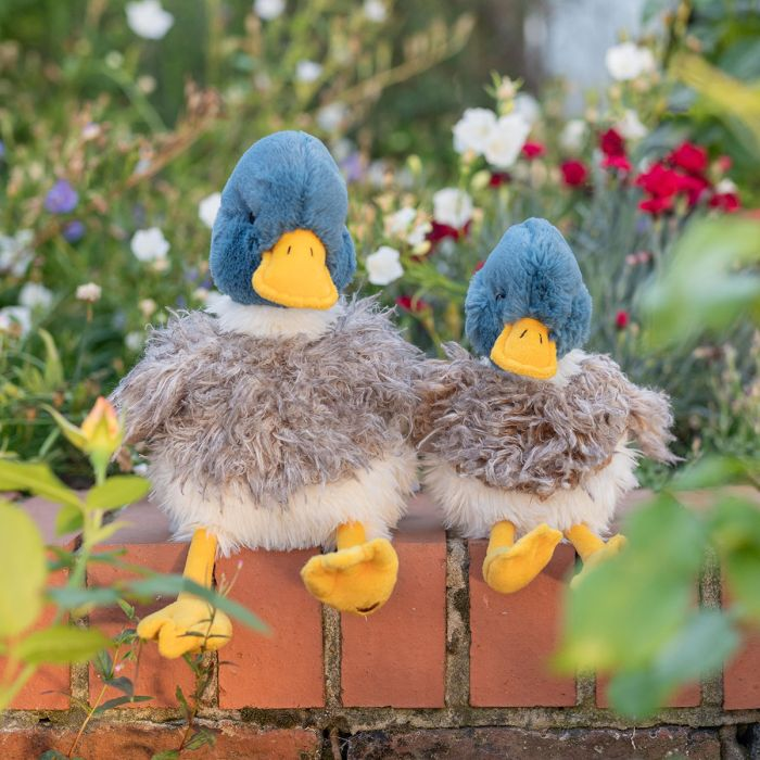WEBSTER DUCK PLUSH TOY