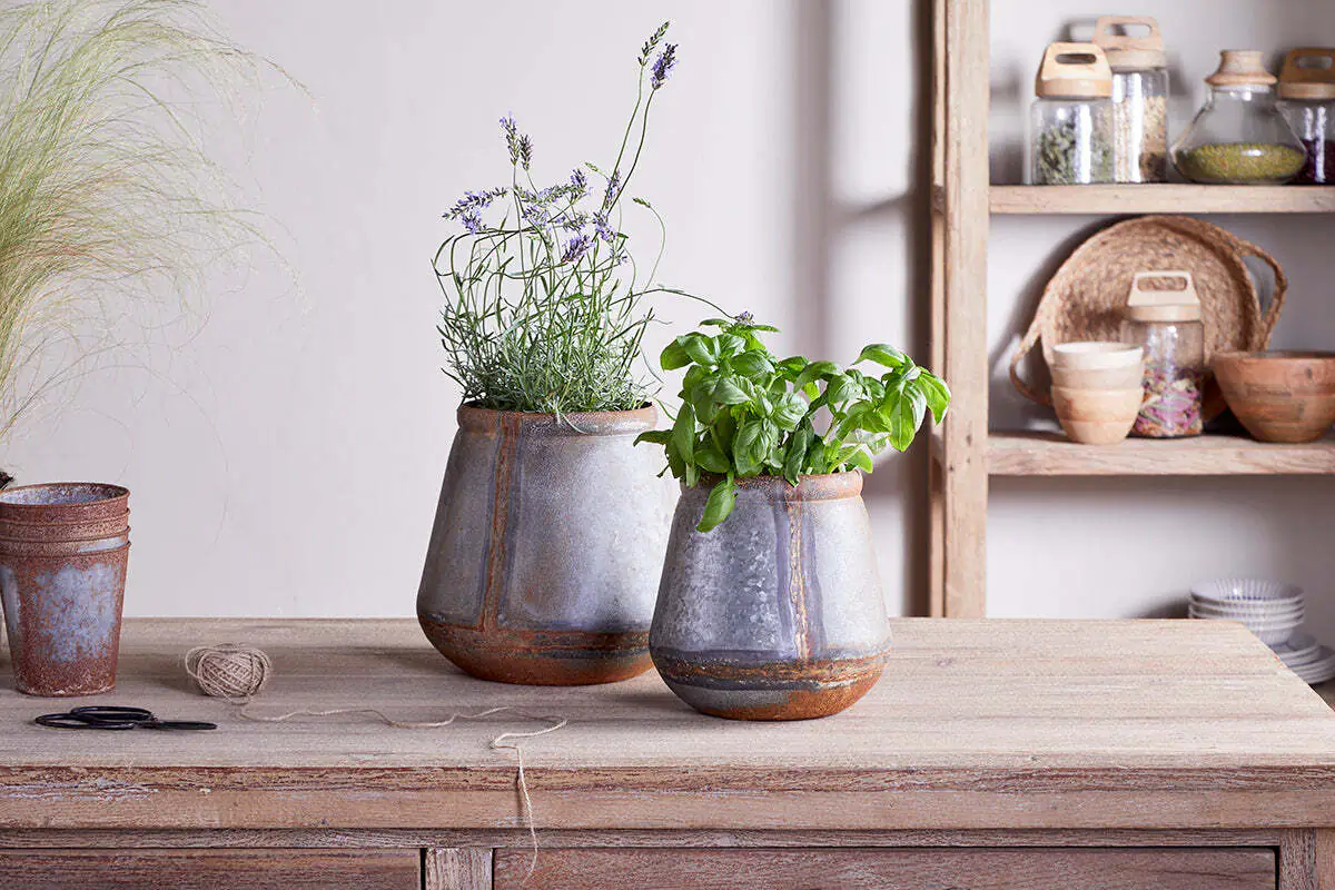 MAMBA OUTDOOR PLANTER-AGED ZINC-LARGE