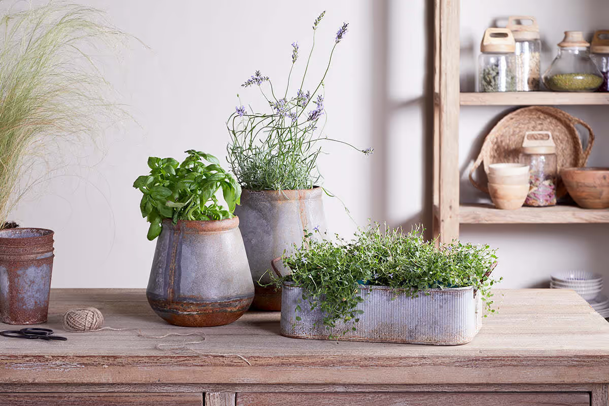 MAMBA OUTDOOR PLANTER-AGED ZINC-LARGE
